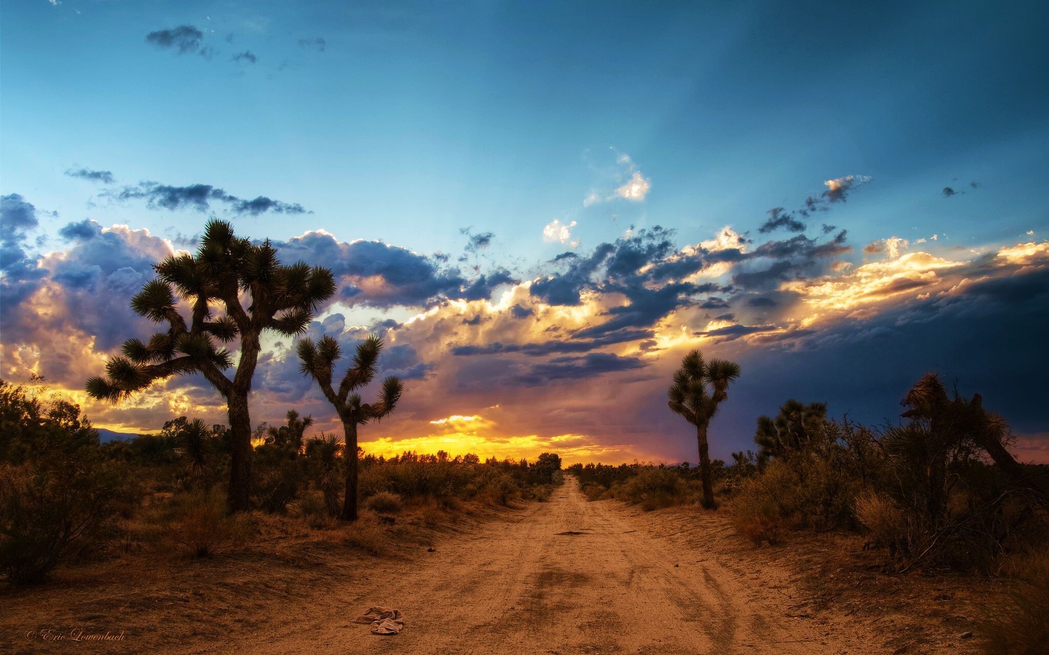 Mojave Desert Wallpapers   Top Free Mojave Desert Backgrounds