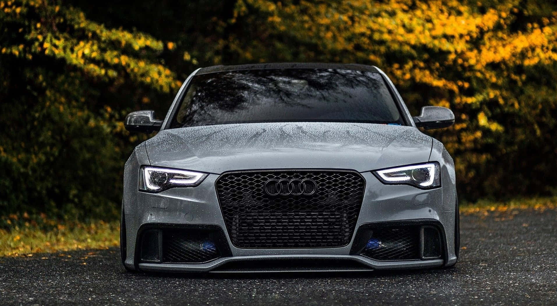 Audi S6 Wallpaper