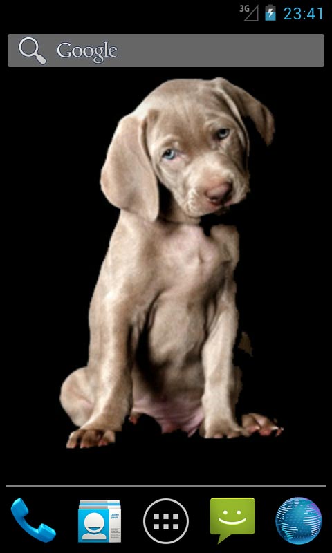 Puppy Dog Little Cute Sweet Nice Black Brown Animal Live Wallpaper