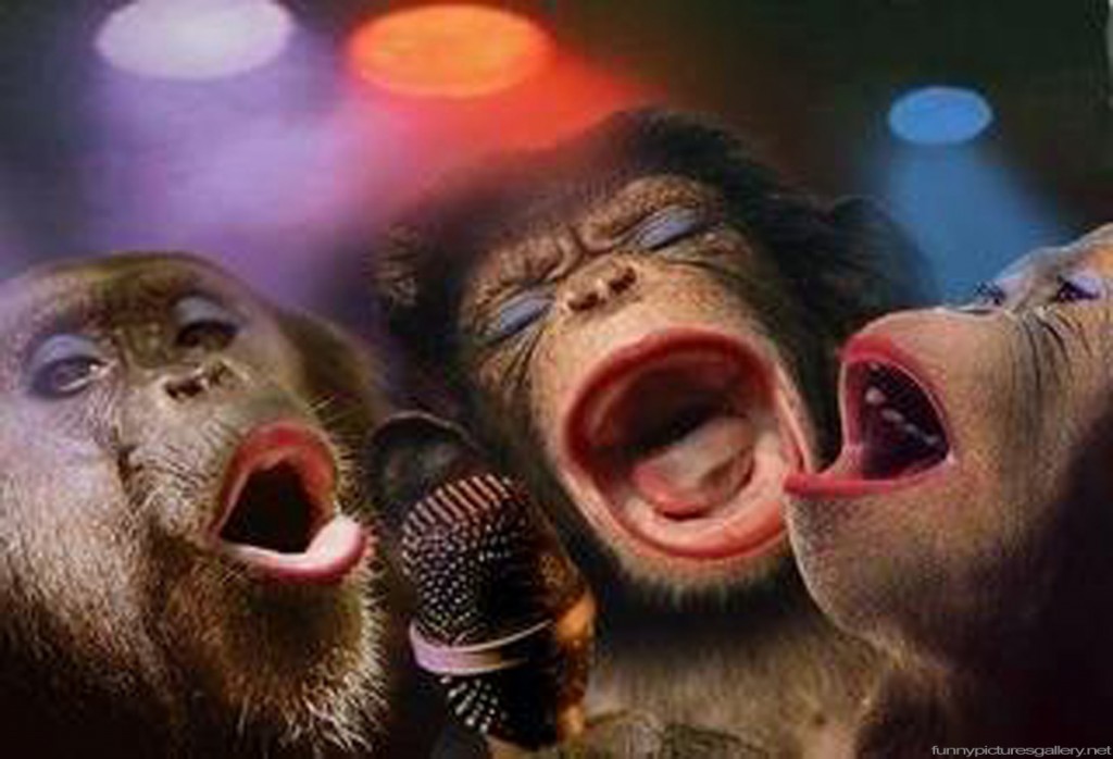 Funny Pictures Of Monkeys Cute Girl Band Gallery