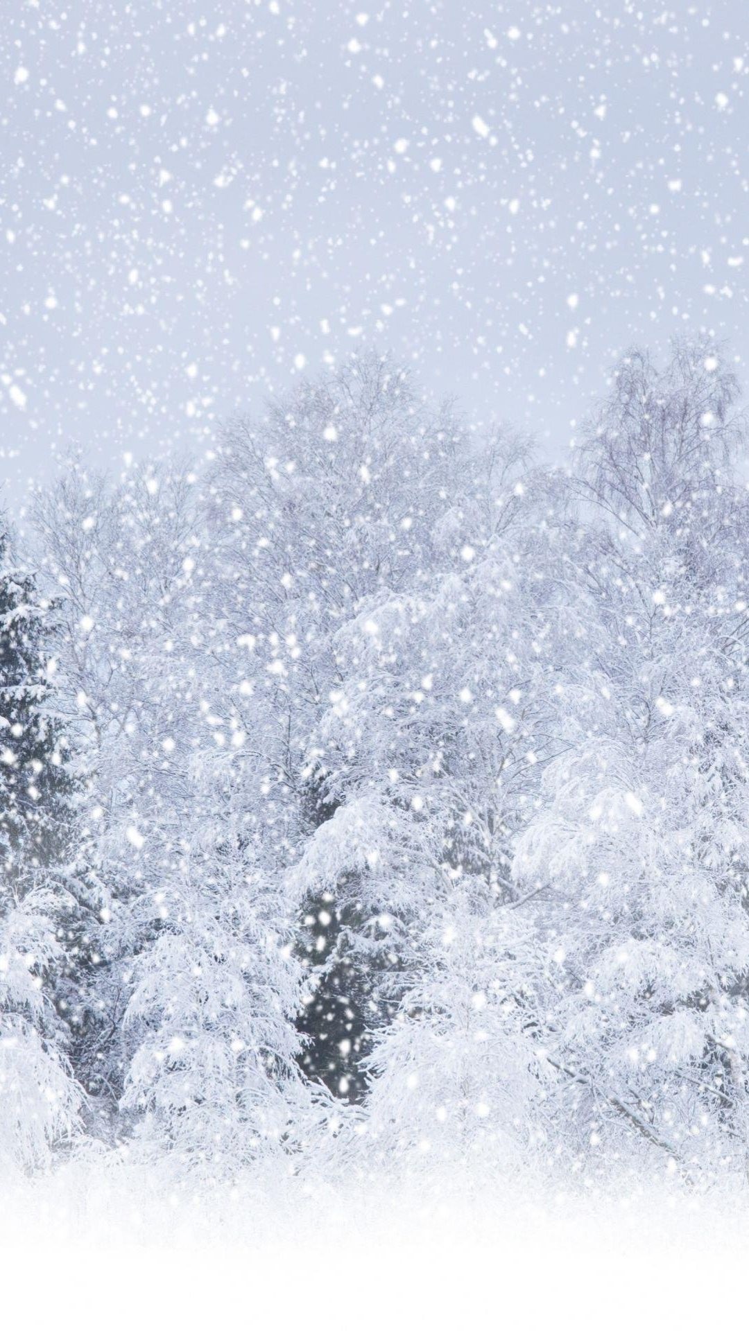 Winter Wallpaper For iPhone