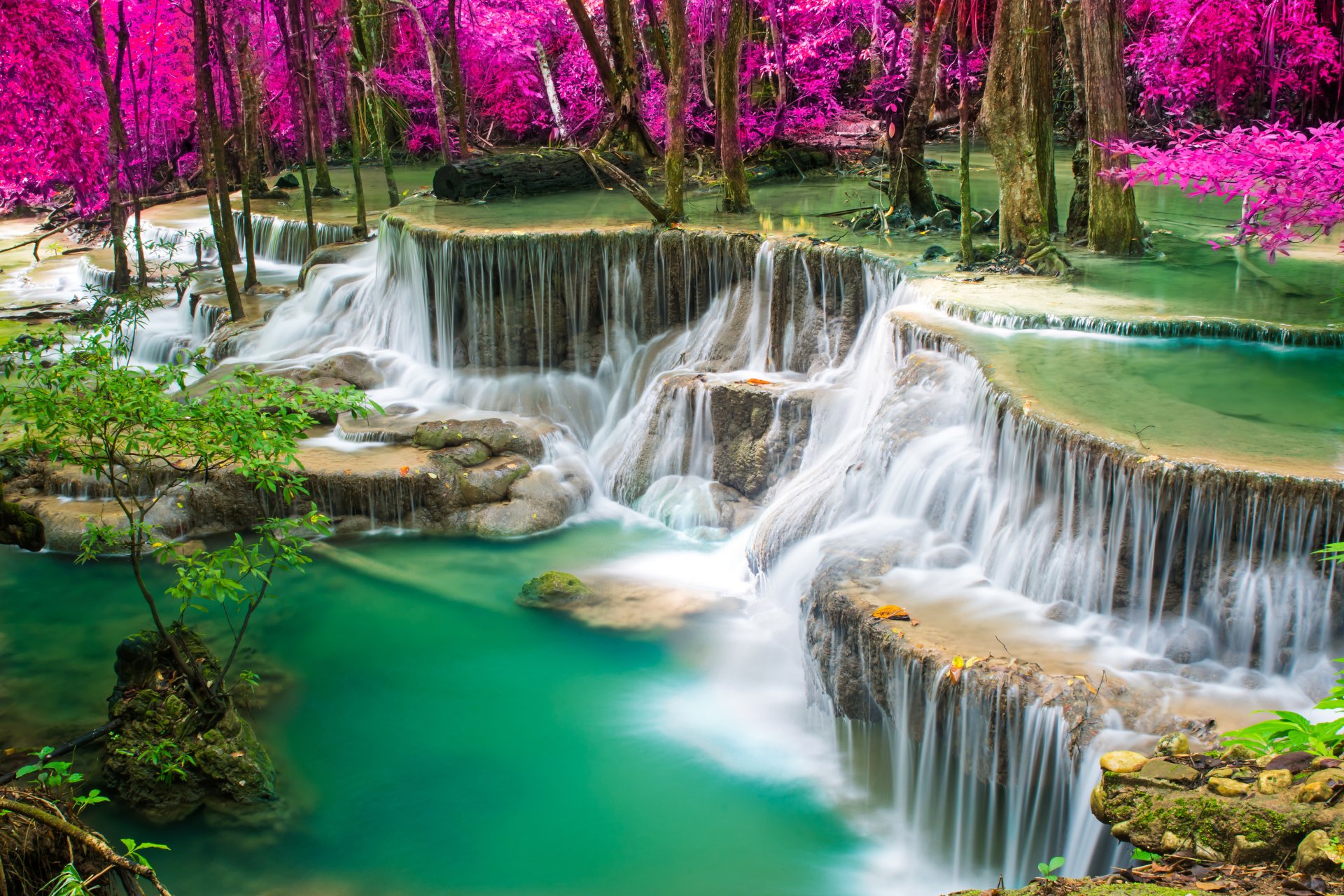 Nature Waterfall 4k Ultra HD Wallpaper