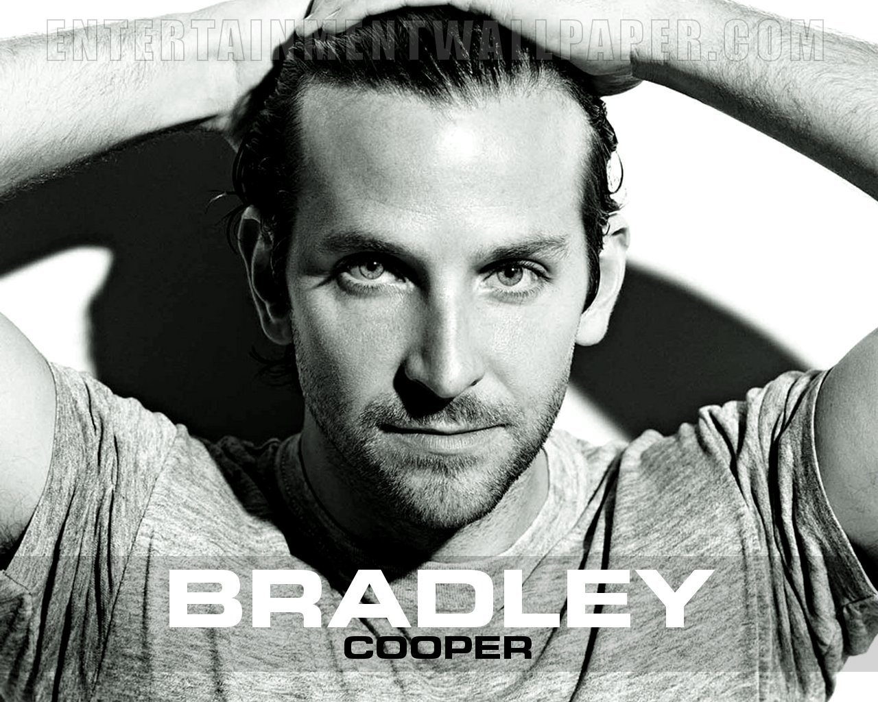 Bradley Cooper Wallpapers Image Wallpapers 1280x1024