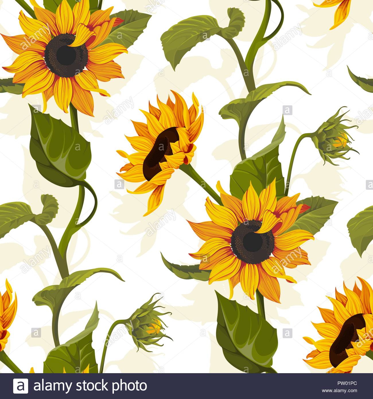 Sunflower Vector Seamless Pattern Floral Texture On Bright