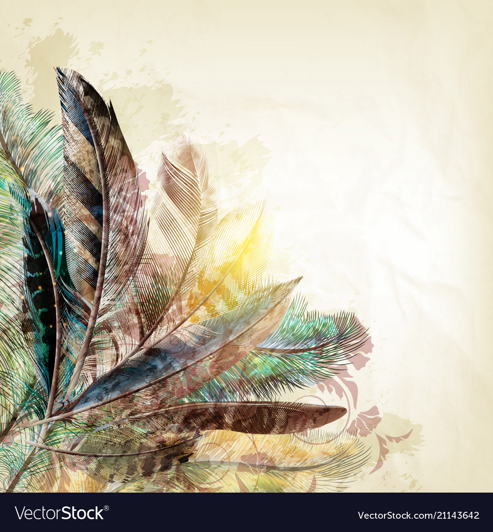 Background With Colorful Feathers Royalty Vector Image