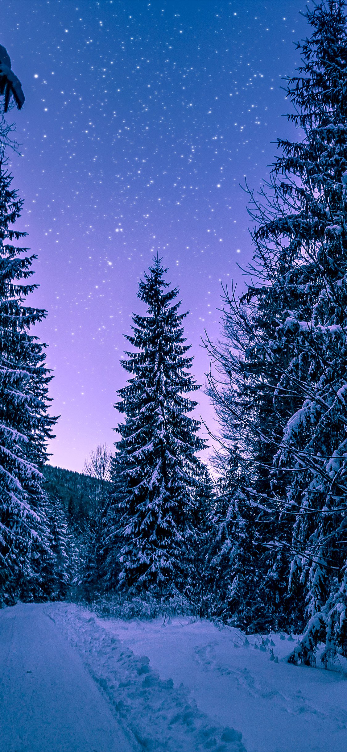 A breathtaking 4k winter wallpaper featuring a snow-covered path winding through a serene forest under a starlit sky