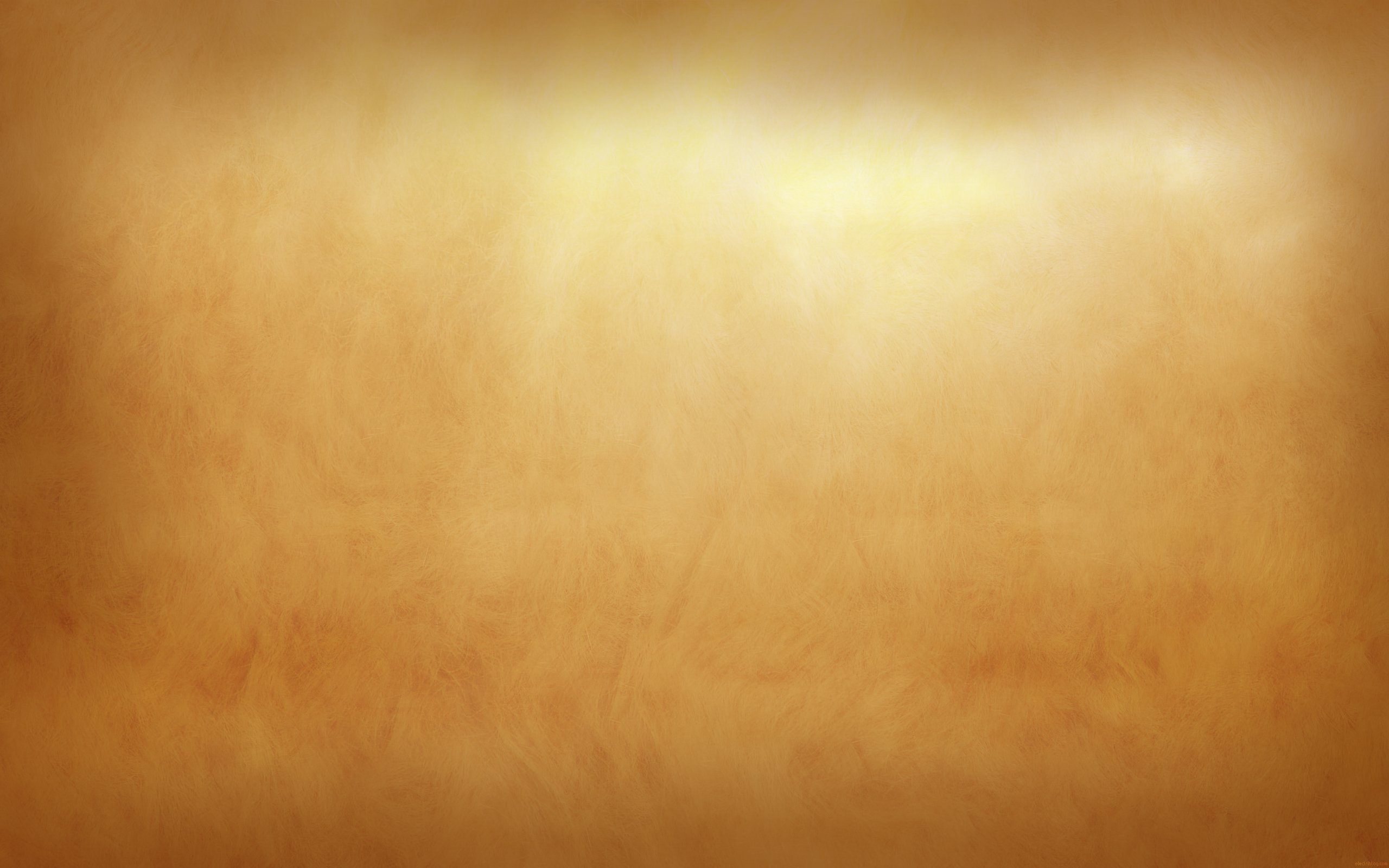 Brown Photo Backgrounds for Powerpoint Templates   PPT Backgrounds