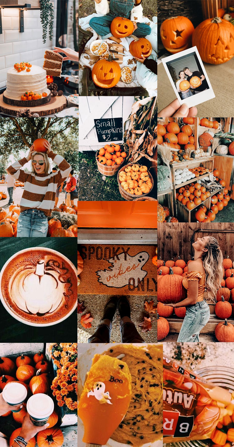 Autumn Collage Wallpaper Pumpkin Craves Fab Mood