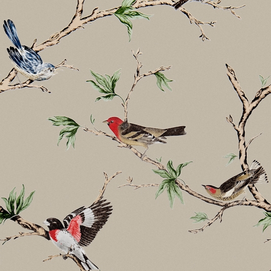 Villa Fioro Wallpaper A Showing Colourful Birds Perched On