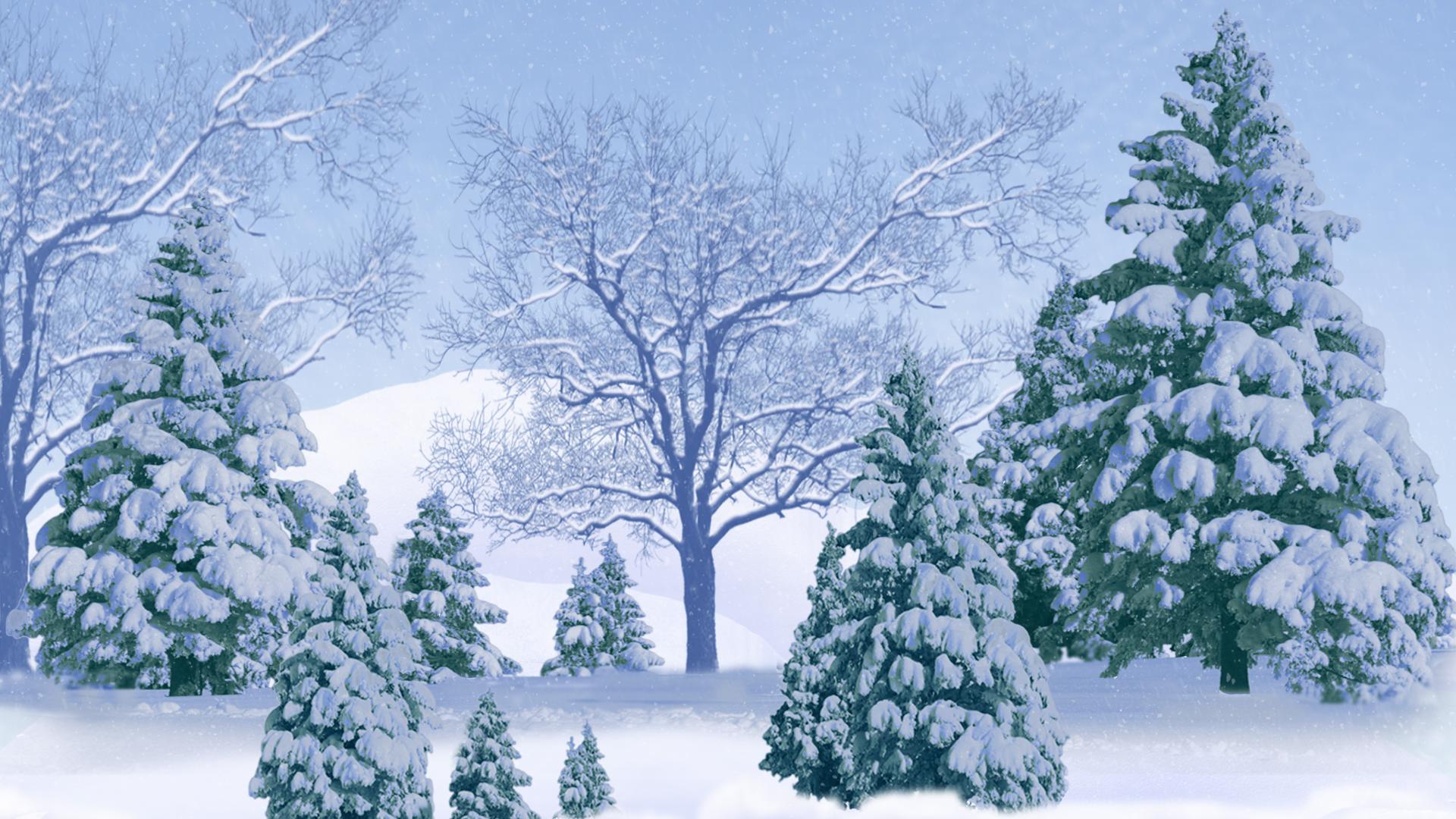Background Winter White Background Trees Snow Image Full HD