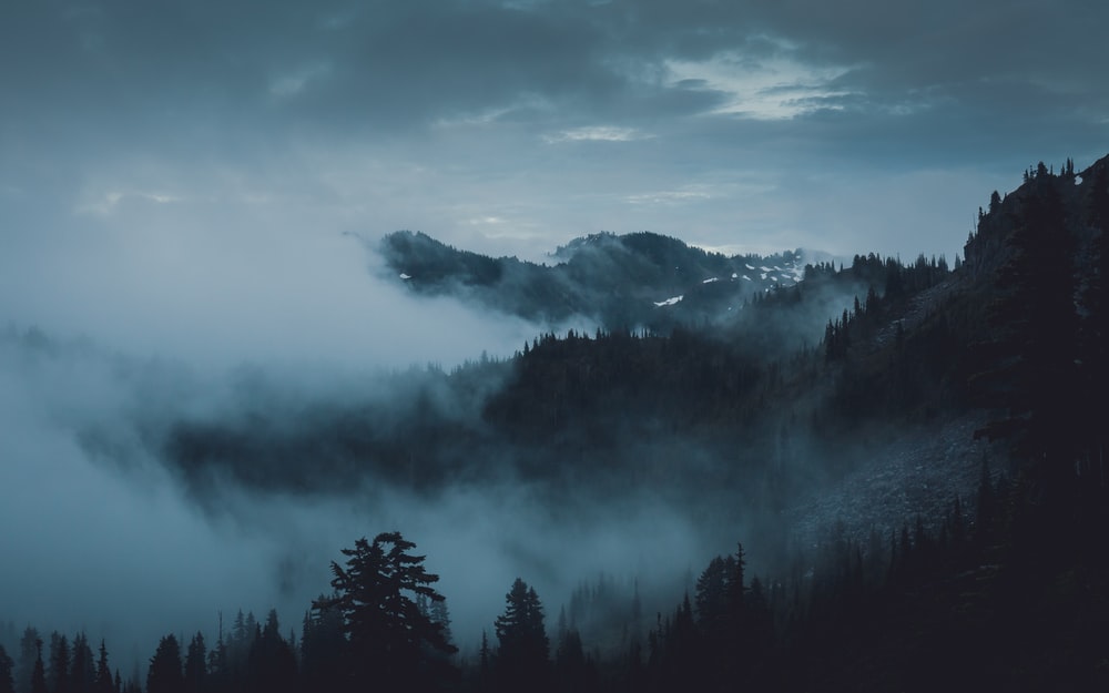 100 Moody Pictures Download Images on Unsplash 1000x625