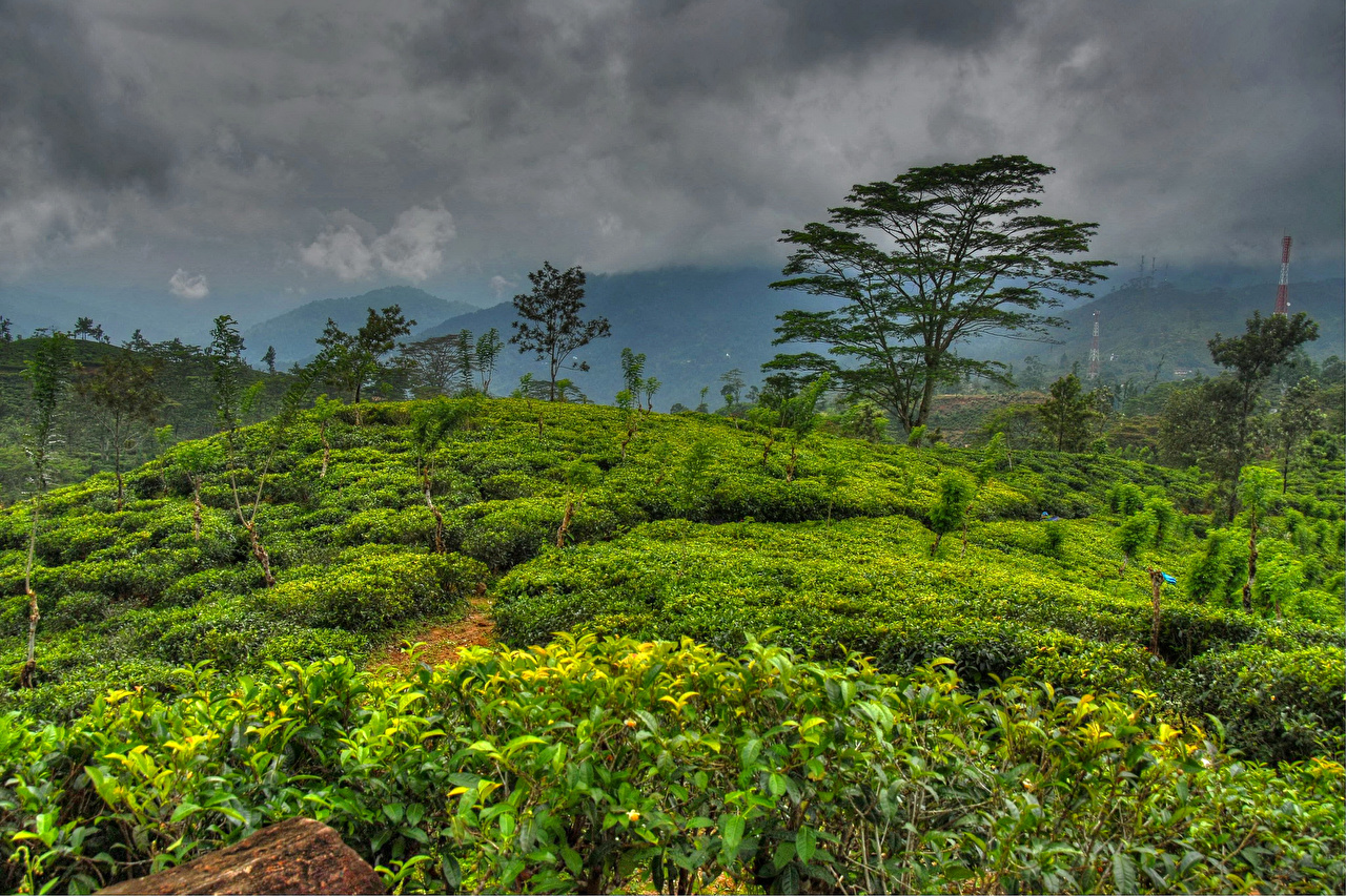 Wallpaper Sri Lanka Nature Sky Tropics Landscape Photography