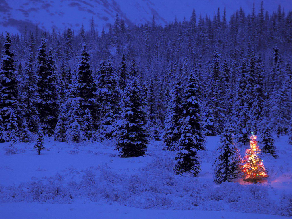 Christmas Image Wallpaper Blue Forest Tree Jpg