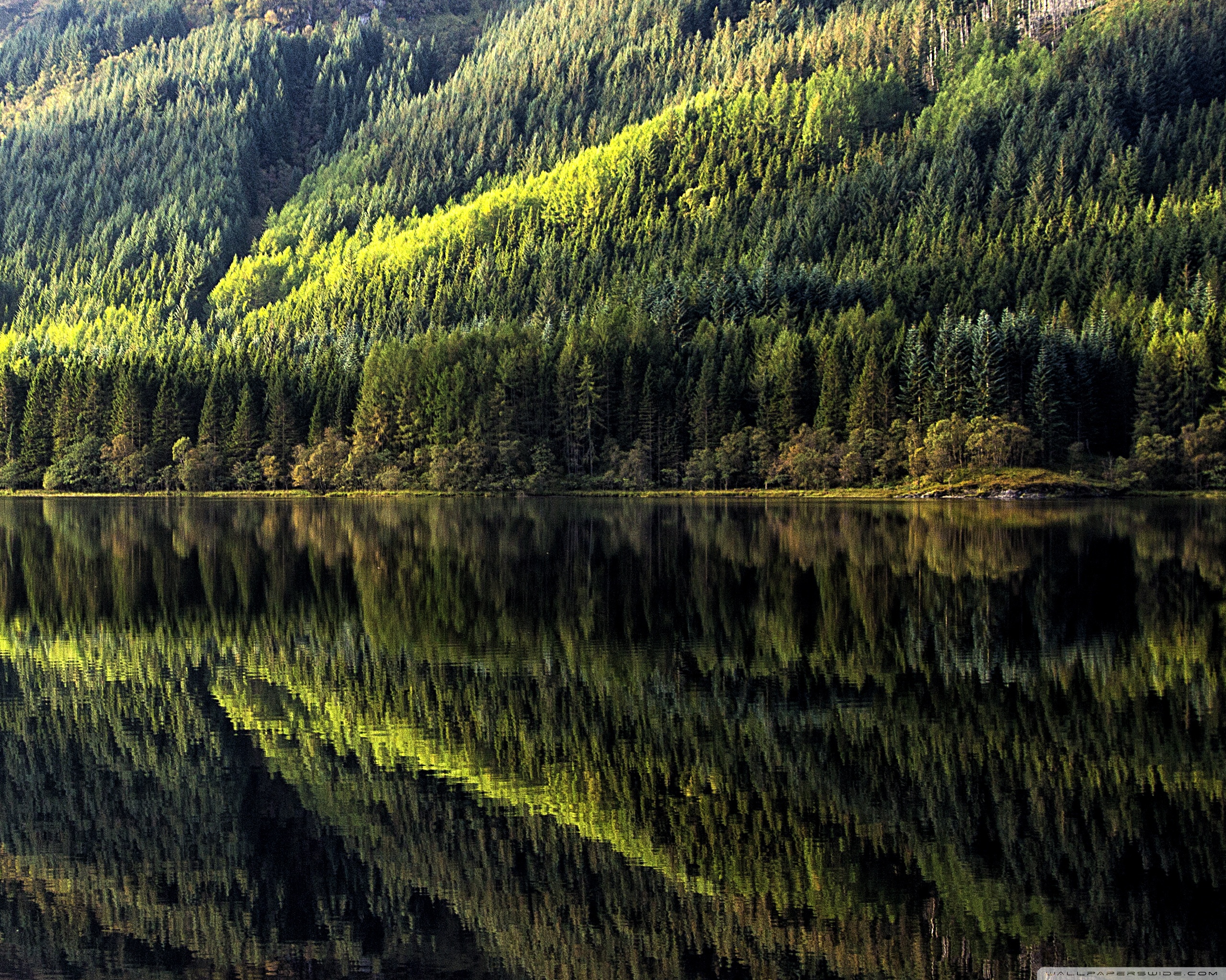 Reflections On Loch Chon 4k HD Desktop Wallpaper For Ultra