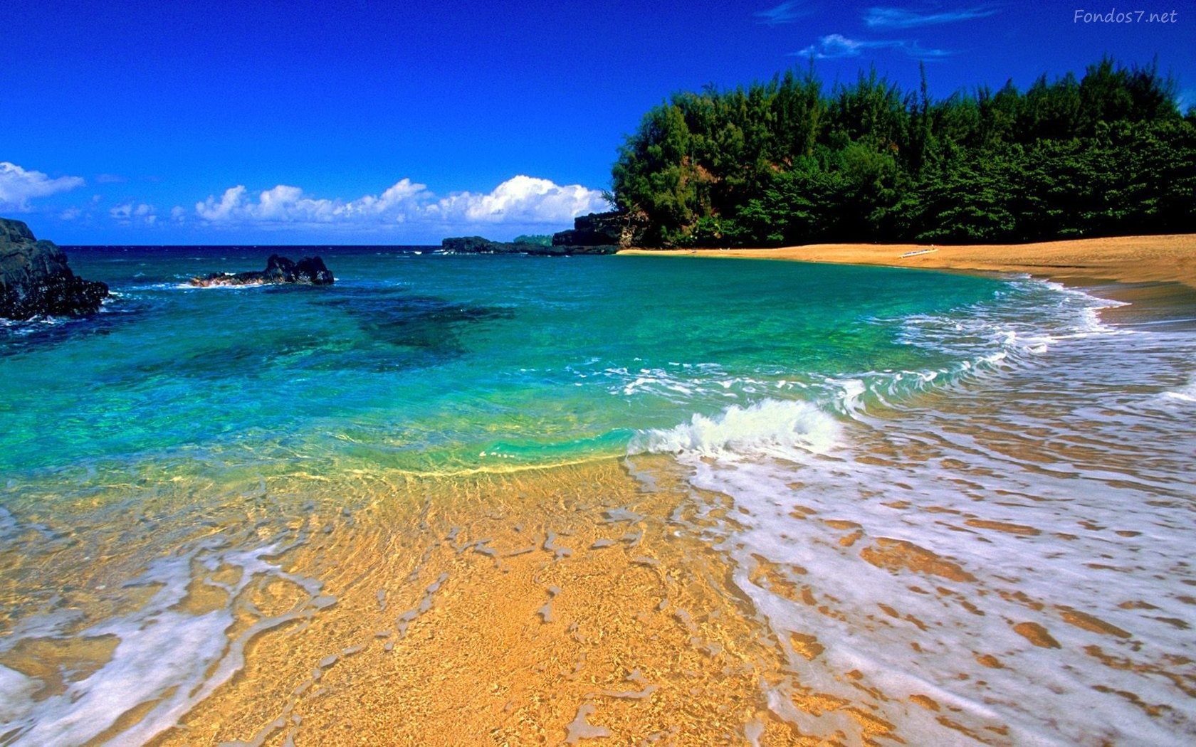 De Pantalla Playa Hawaii Kauai HD Widescreen Gratis Imagenes