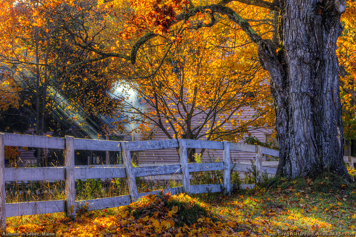 Autumn In Maine Autumn foliage in sebec maine