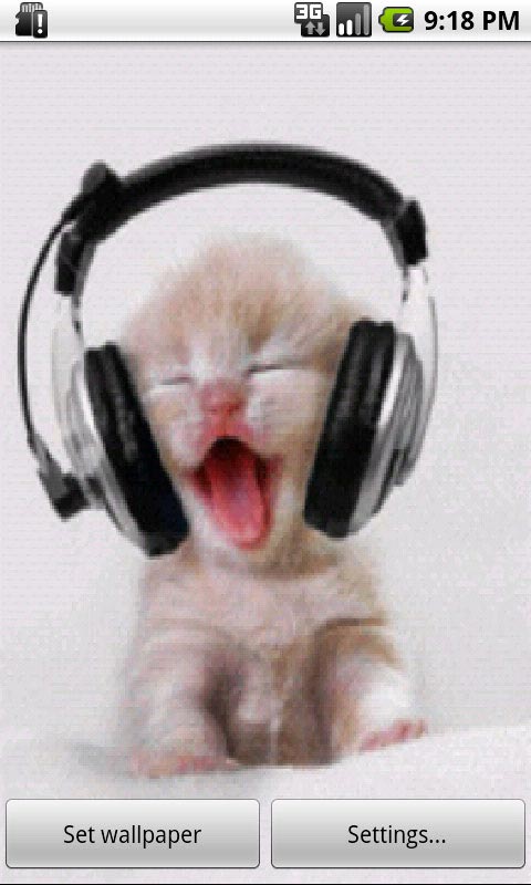 Music Kitten Live Wallpaper App For Android