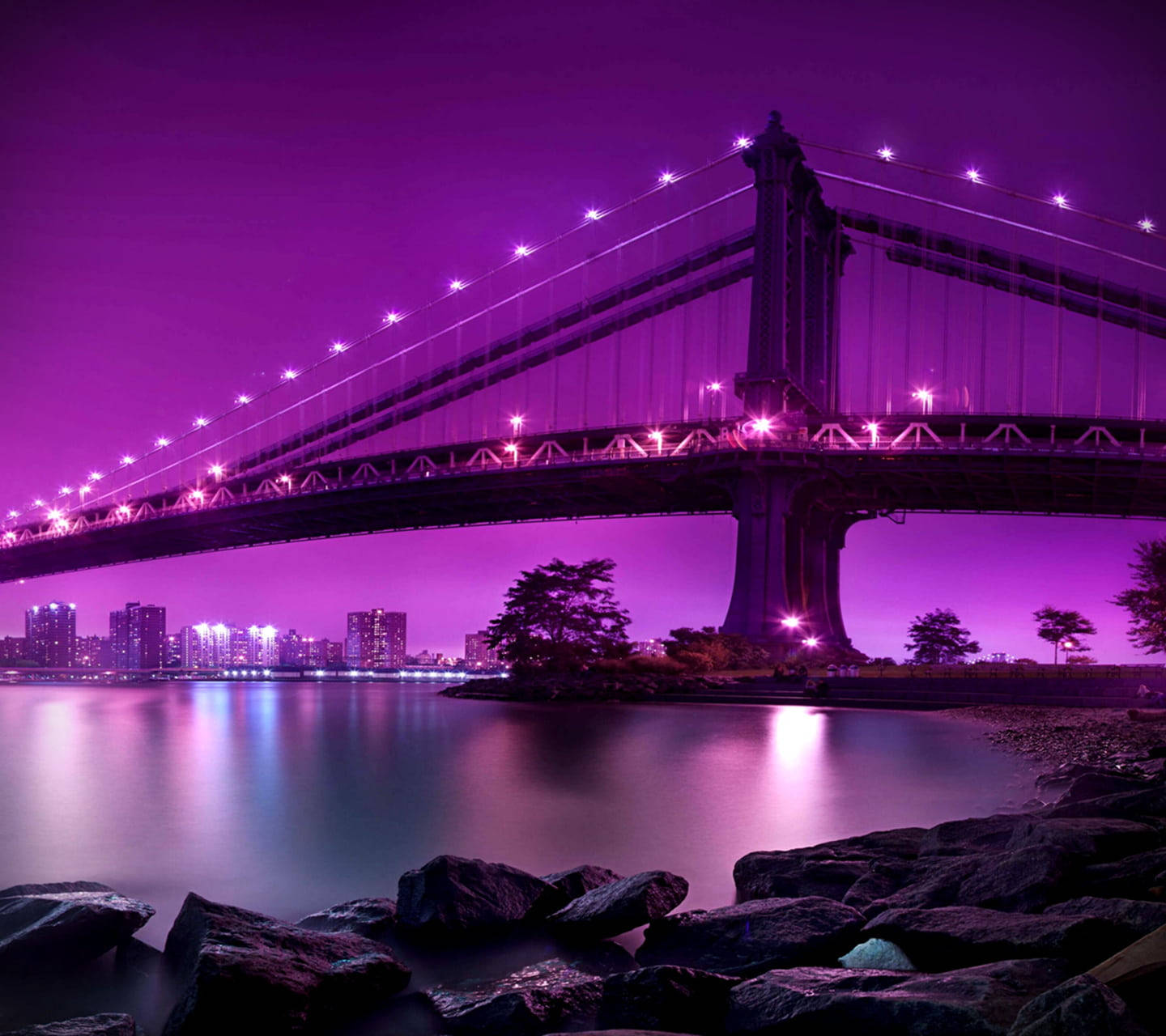Dark Purple Wallpaper