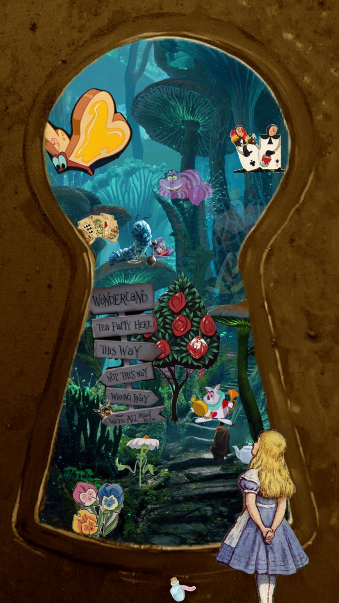 Check Out Anastasiaaa S Shuffles Wallpaper