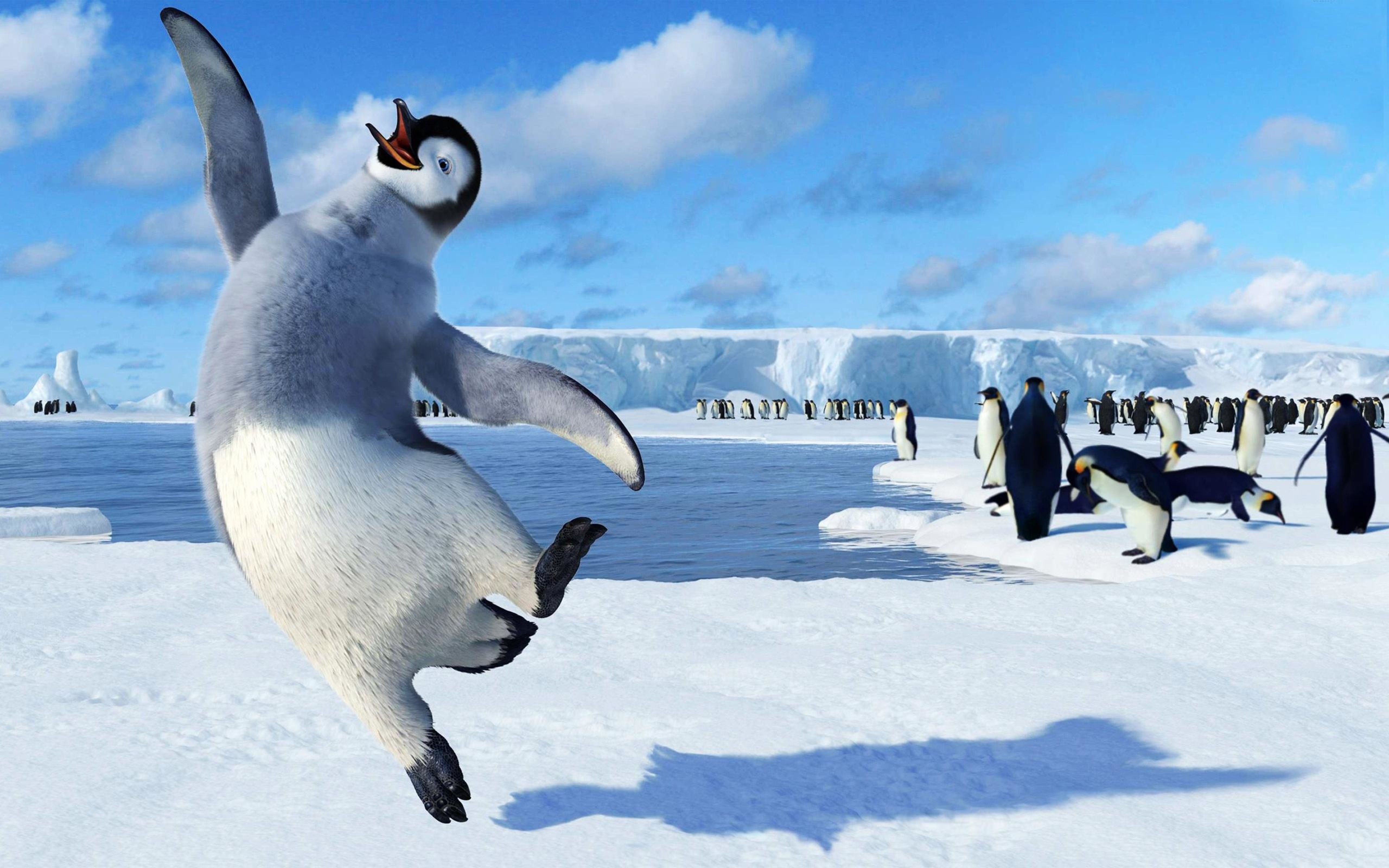 Happy Feet Funny Animation Movie With Sweet Penguins