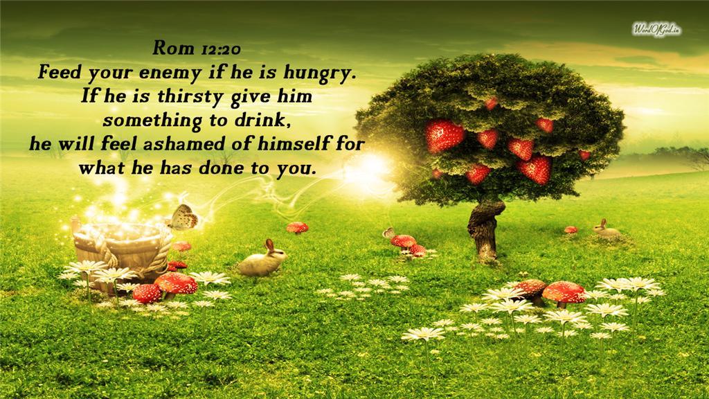 Bible Verse Wallpapers for PC PC Bible Verse Wallpapers Bible Verse 1024x576