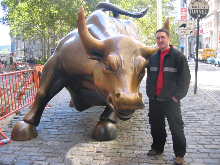 Wall Street Bull Condition