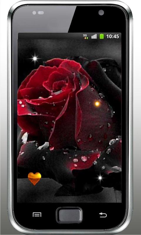 Gothic Rose Live Wallpaper Android Apps On Google Play