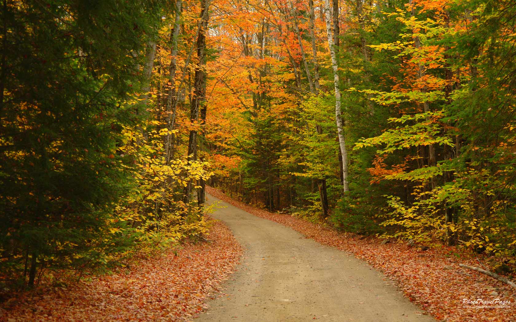 Autumn Wallpaper Road