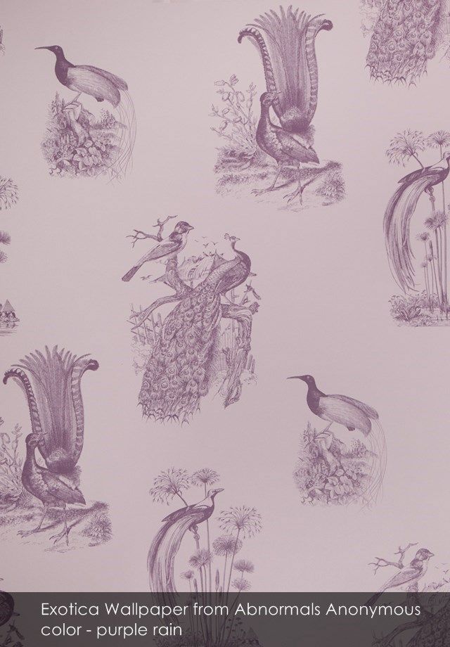 Exotica wallpaper from Abnormals Anonymous in purple rain