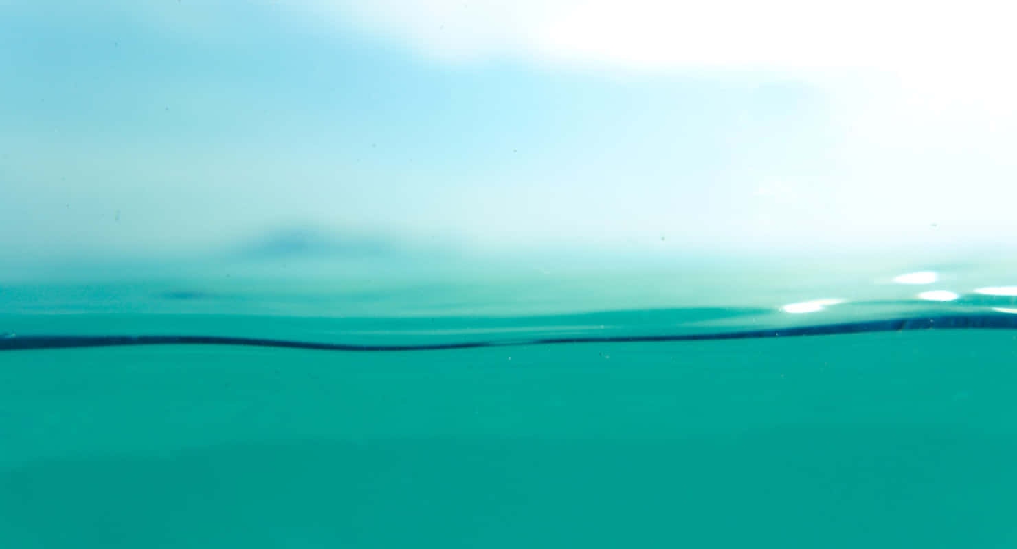 Water Shallow Photography Msmfyk5vjim9ama4 Wallpaper