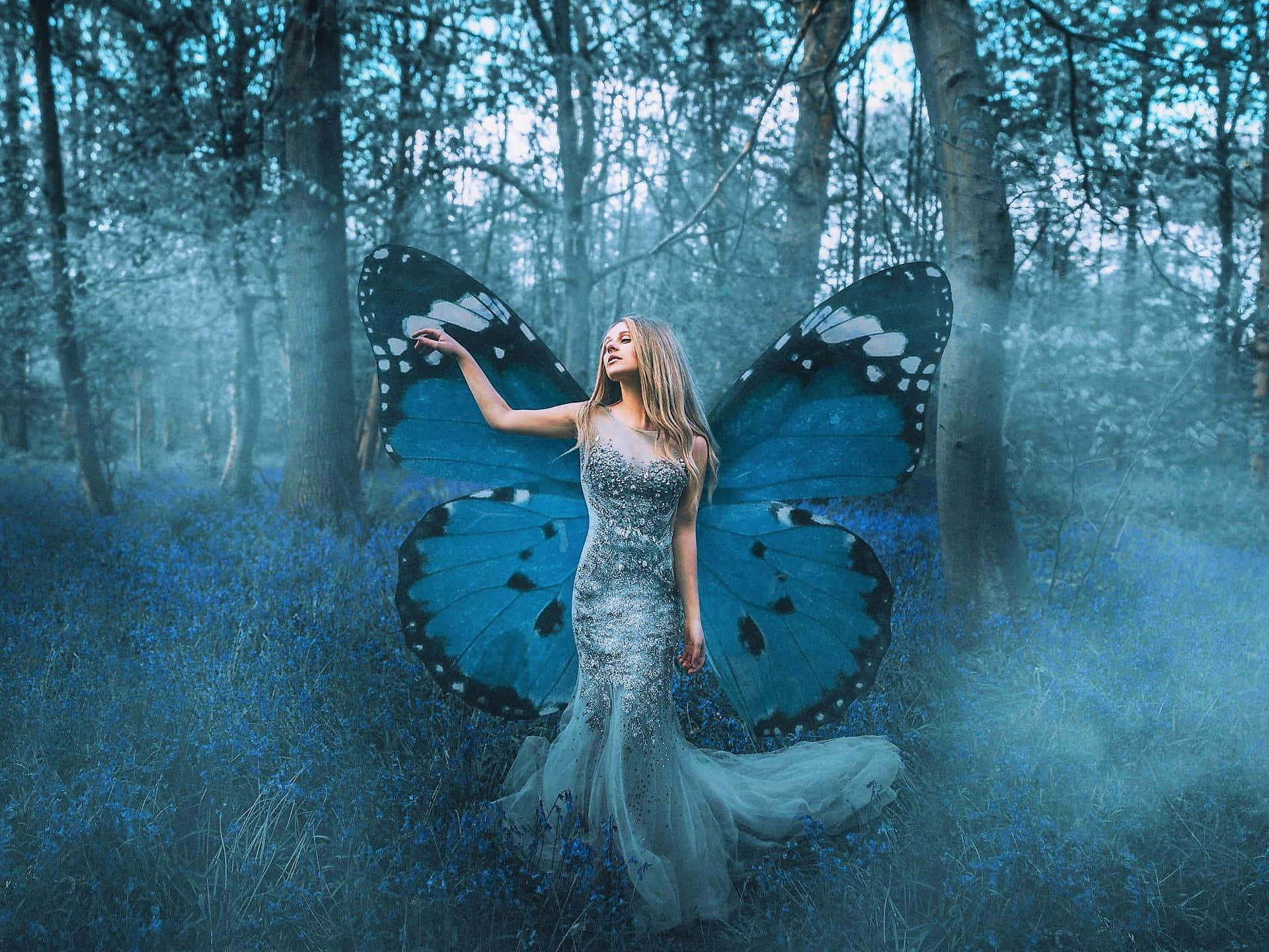Fairy Forest Background Wallpaper
