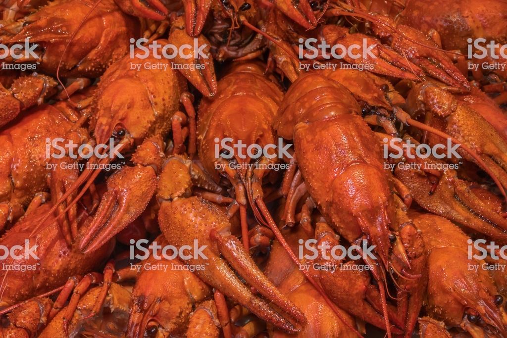 Boiled Crawfish Background Of Many Red Crayfish Stock Photo