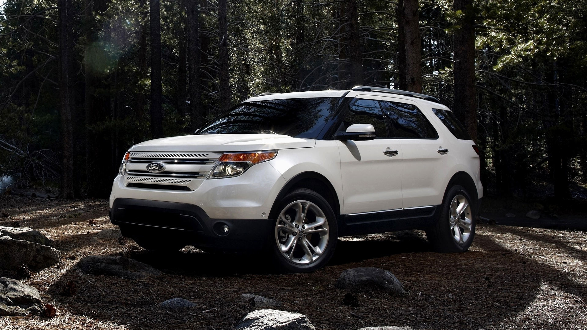 Ford Explorer Car Forest Gray Tree