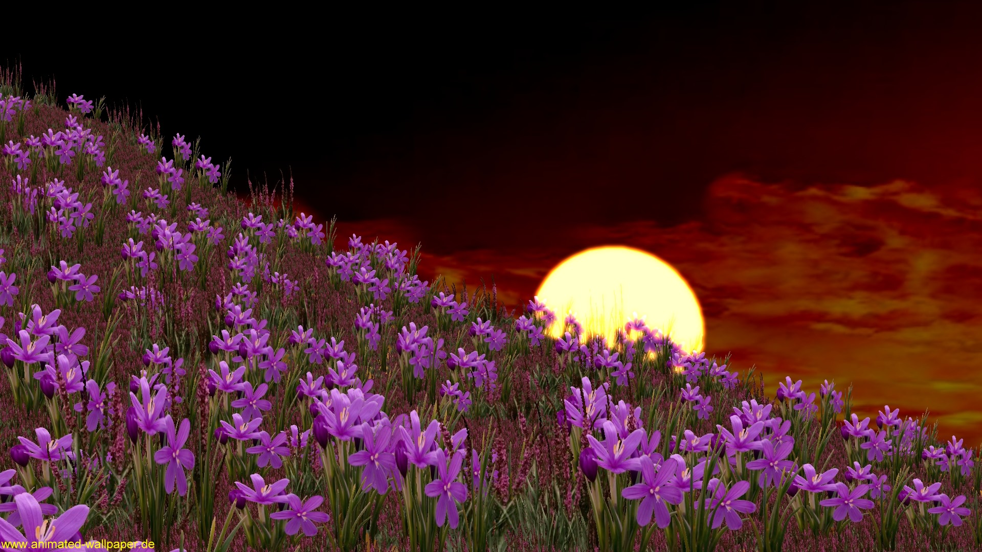 3D Nature Wallpapers Free Download 17 Background