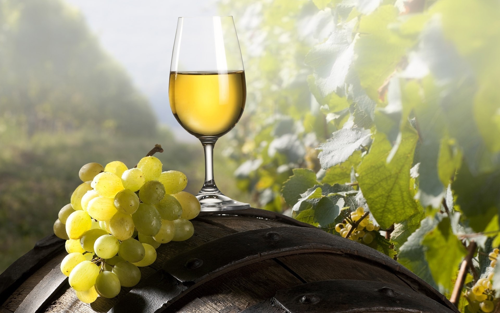 Grape wine glass wallpapers and images   wallpapers pictures photos 1920x1200