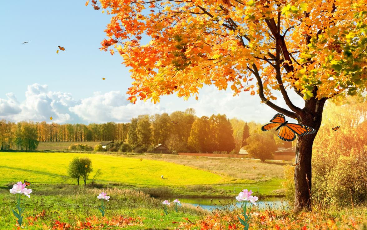 Now Beautiful Nature Animated Wallpaper