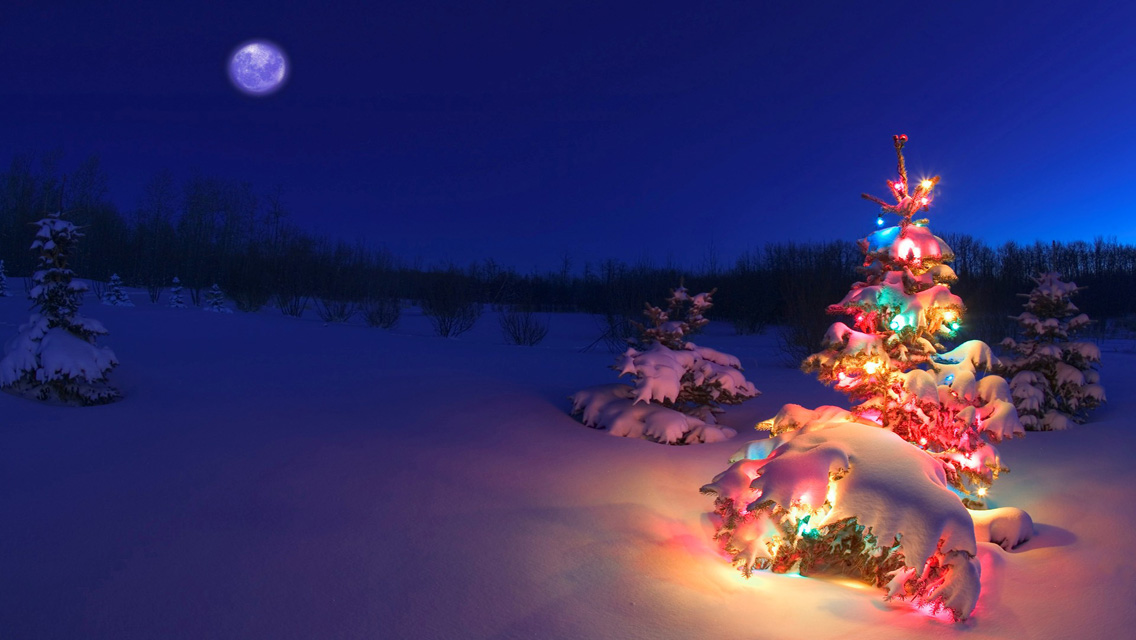 Wallpapers for iPhone Part One Christmas Tree with Snow and Lights