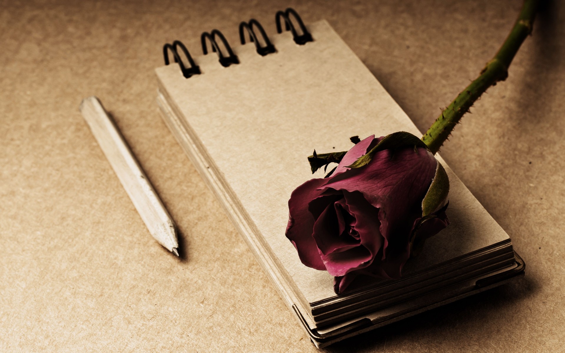 Photography Still Life HD Wallpaper
