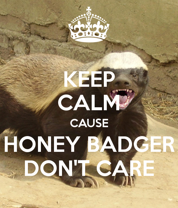 Honey Badger Dont Care Wallpaper Widescreen