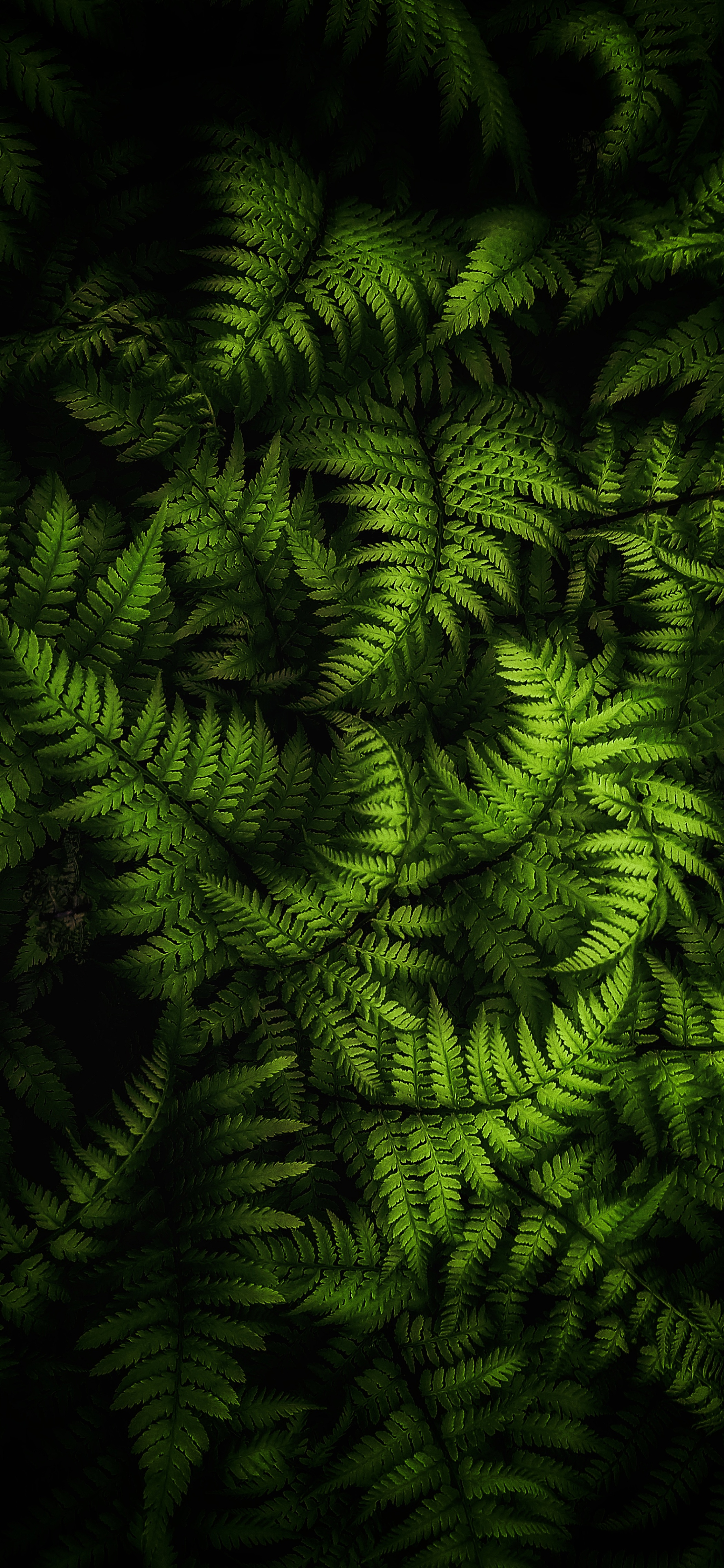 HDr Nature Photography Wallpaper For iPhone