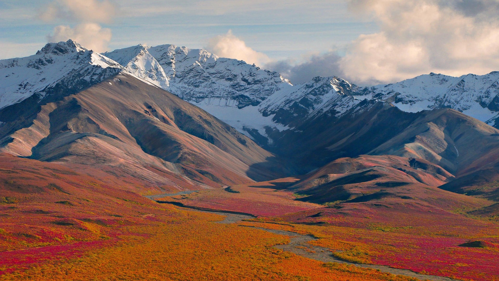 Denali National Park Mountain In Alaska United States