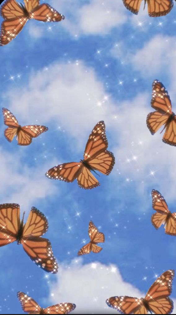 [23+] Cute Cartoon Butterfly Wallpapers | WallpaperSafari