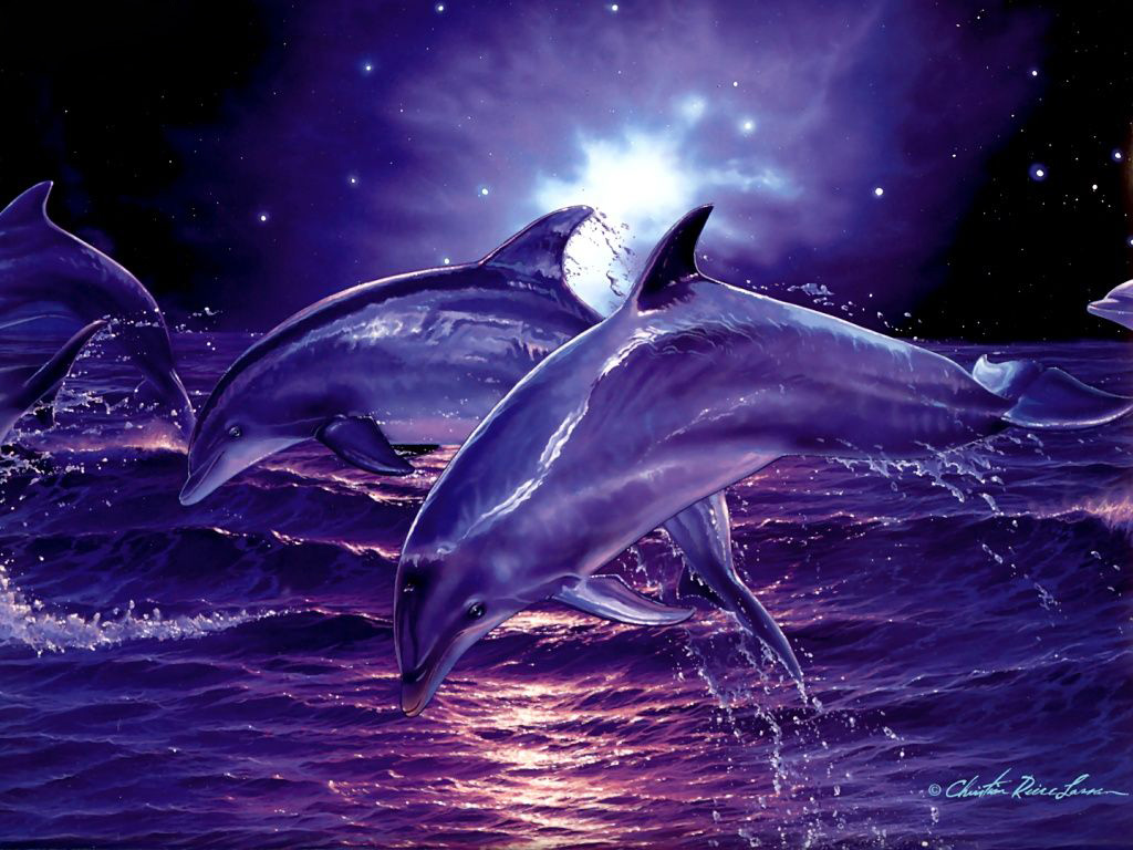 3d Digital Dolphins Desktop Wallpaper