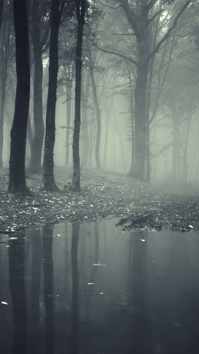 Creepy Dark Forest Wallpaper   Free iPhone Wallpapers