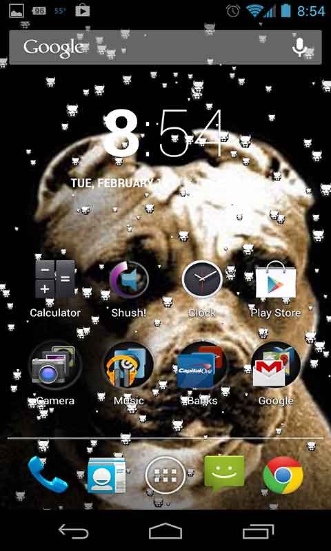  Free Pitbull Dog Live Wallpaper App to your Android phone or tablet