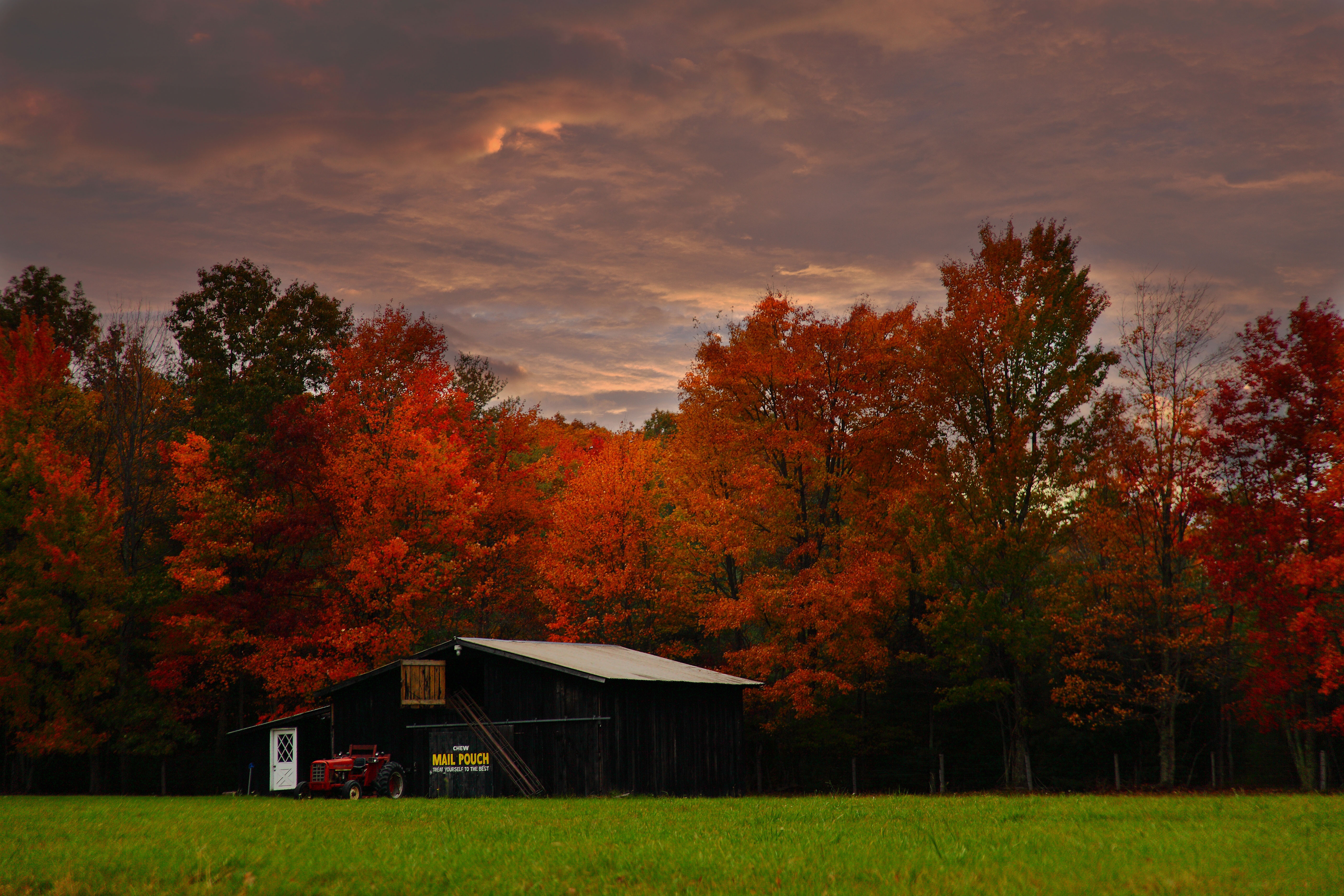 Scene Of A Mail Pouch Barn On Country Farm Behind The Fall
