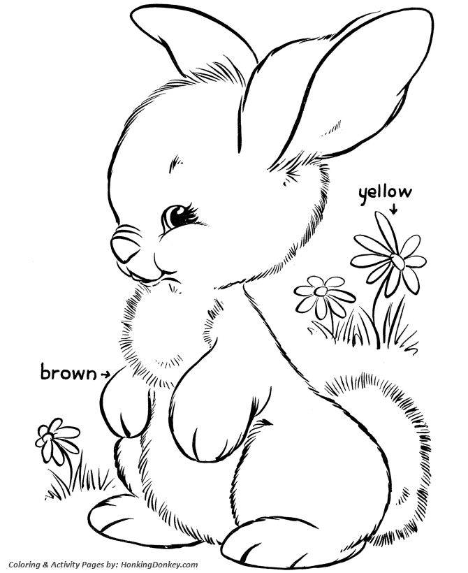 Easter Bunny Coloring S Fluffy