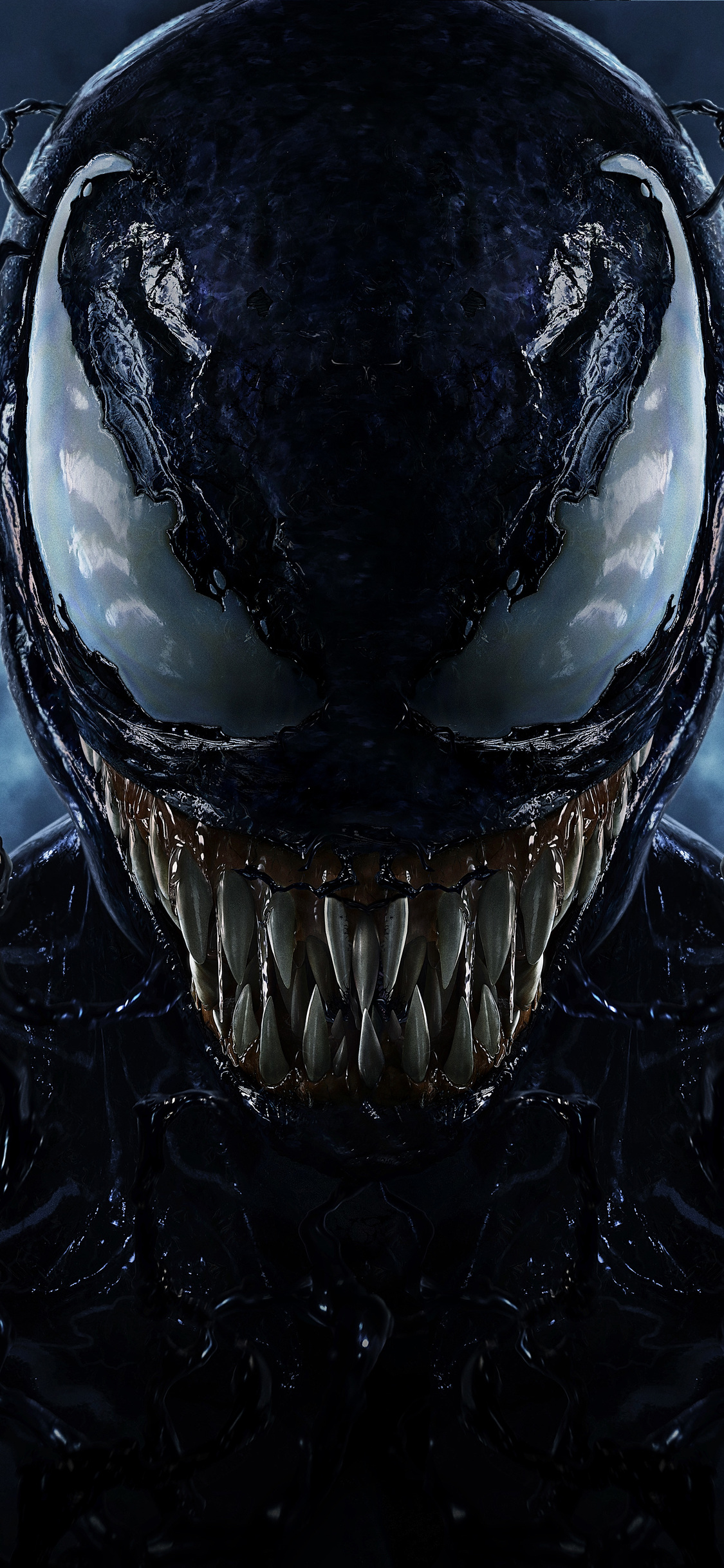 Iphone XS Wallpaper Venom Movie 4297 Wallpapers and Free Stock