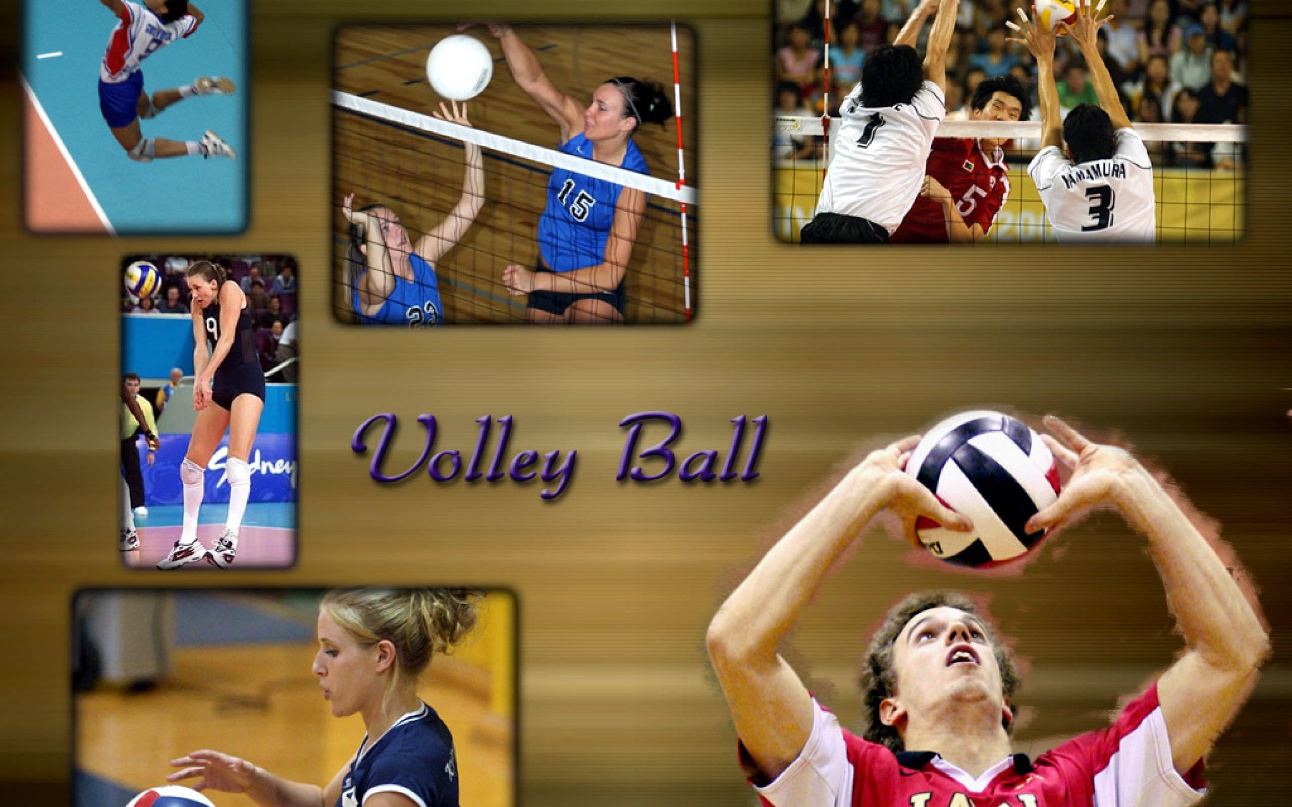 A collage of volleyball action shots, showcasing different aspects of the sport