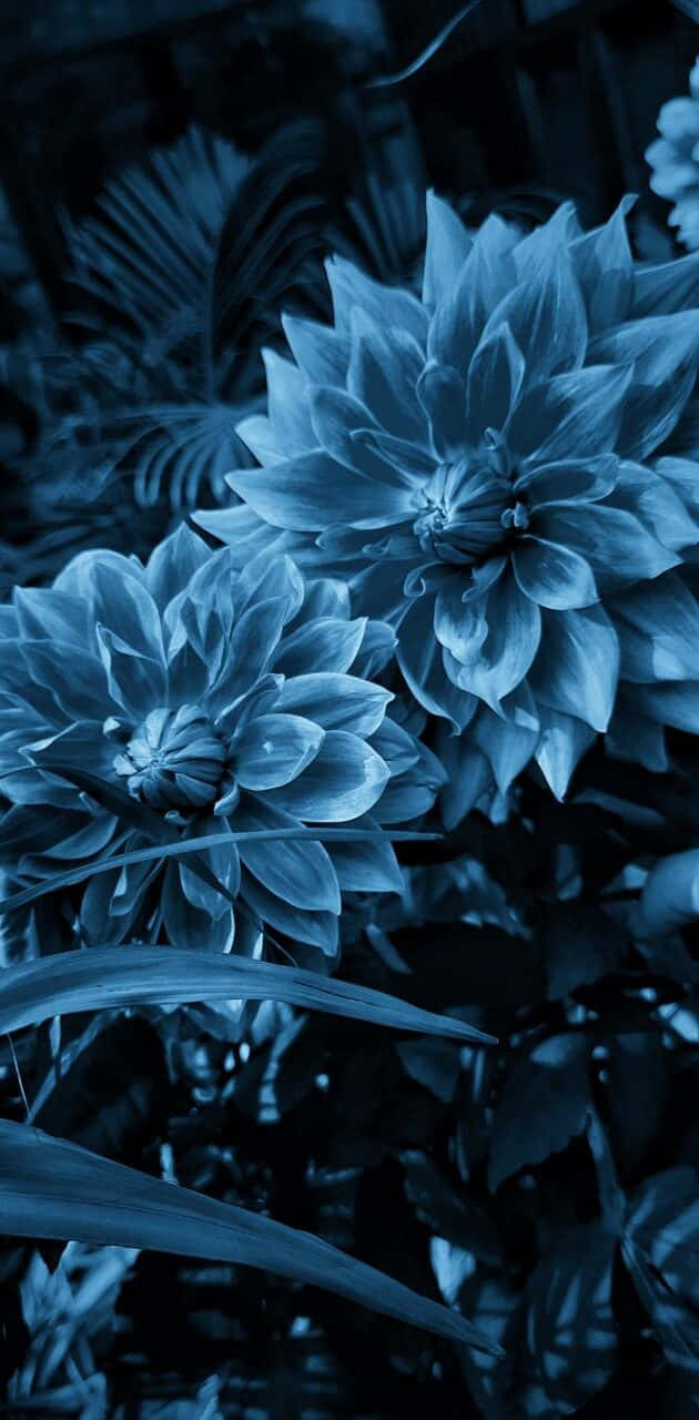 Blue Flowers Aesthetic Background Wallpaper